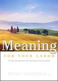 Meaning for Your Labor