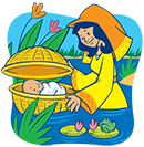 Finding God's Promises Photo